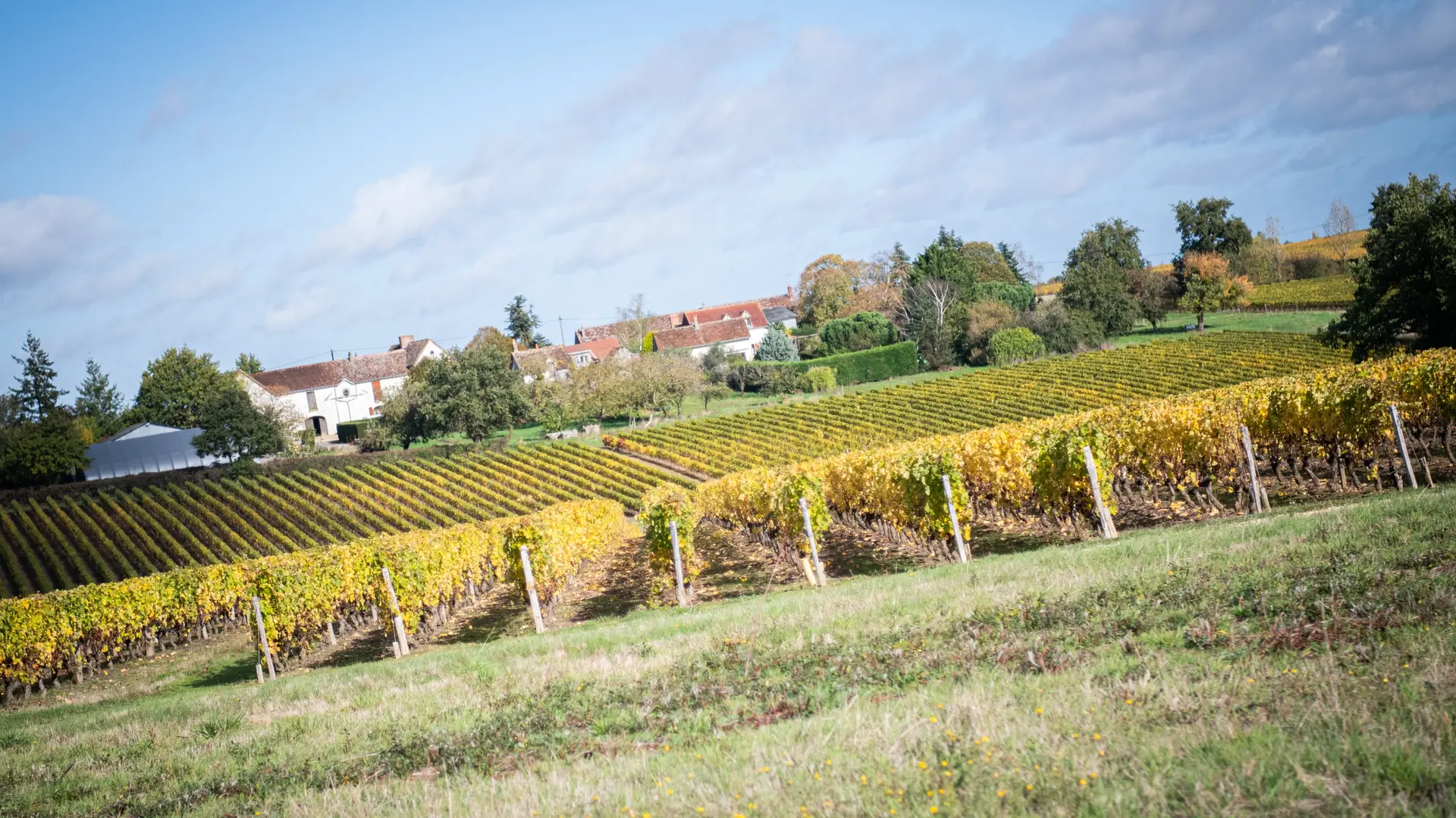 domaine-de-la-pounière
