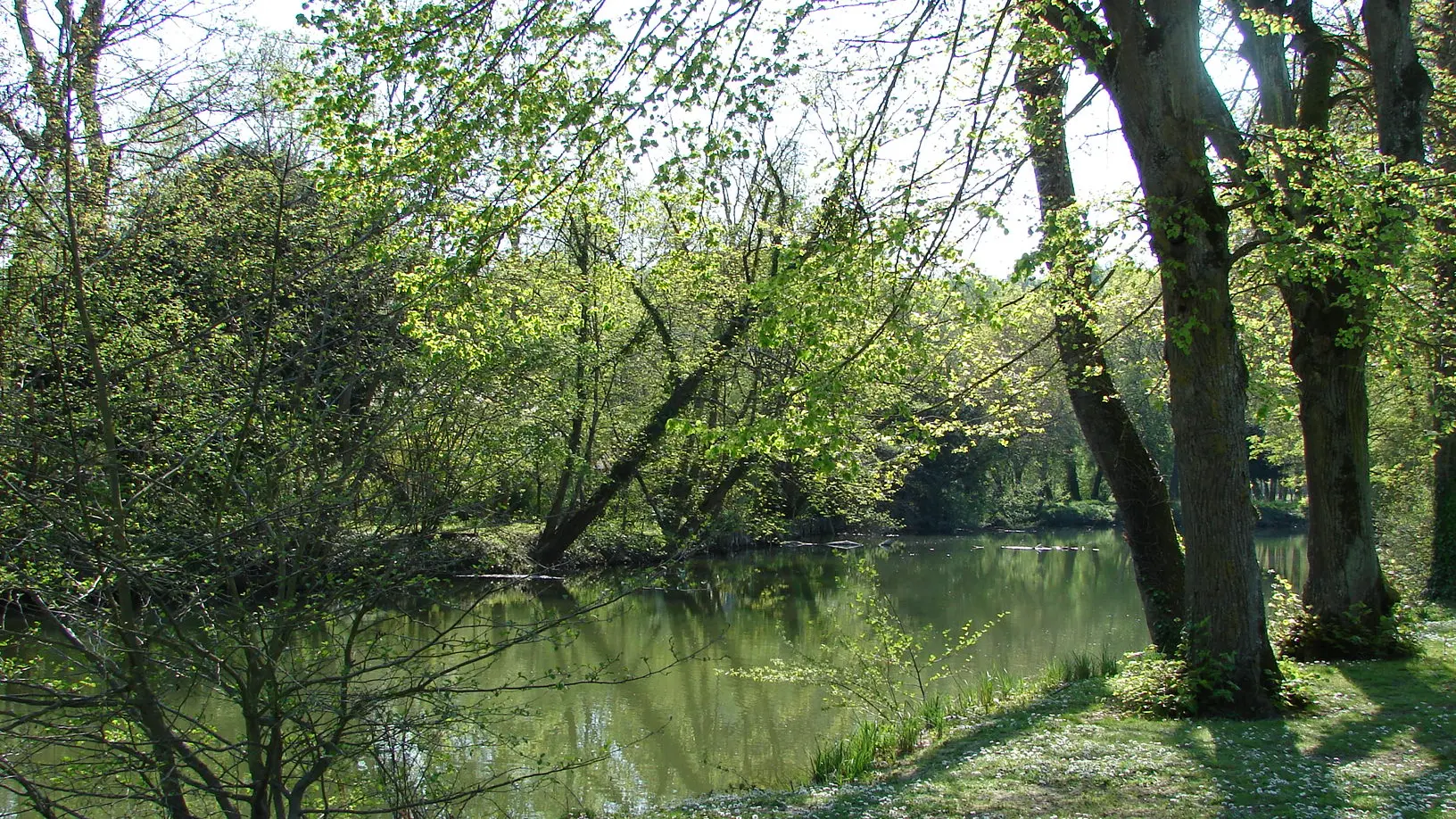 Camping Au Coeur de Vendôme -Emplacements  au bord du Loir(3)