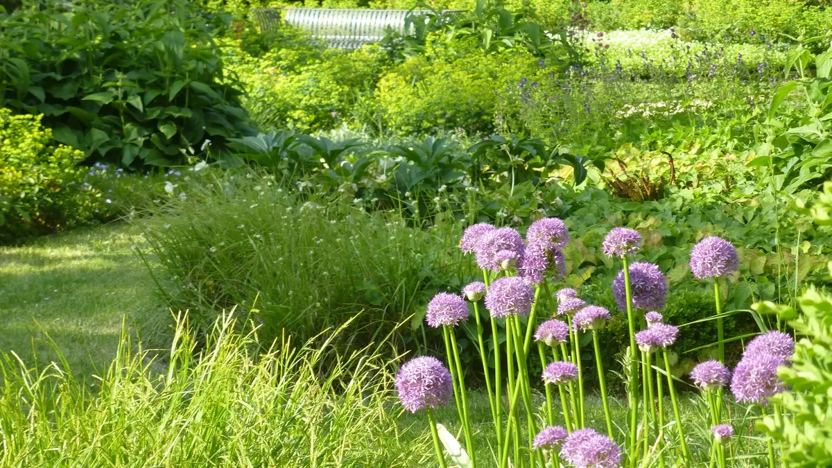 Château-de- Vendôme-au-printemps