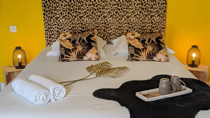 Chambre_tis