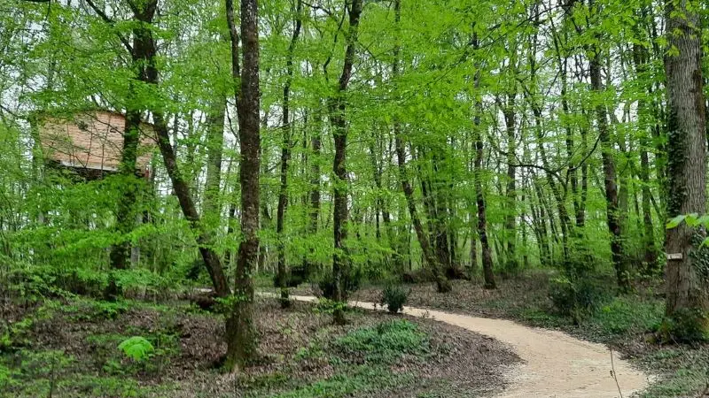 tourisme sologne-romorantin-chambresd'hotes-laugis nature