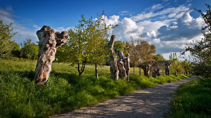 Chemin-des-Trognes-Maison-Botanique-Boursay©Laurent-Alvarez-Conseil-Departemental41--(10)