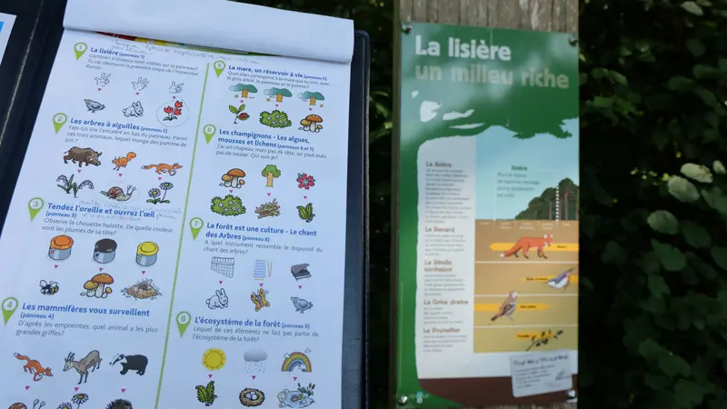 Circuit-Randoland-Bois-de-l'Oratoire-Vendome