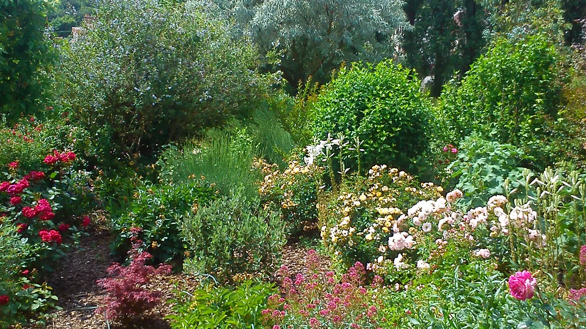parc paysagé