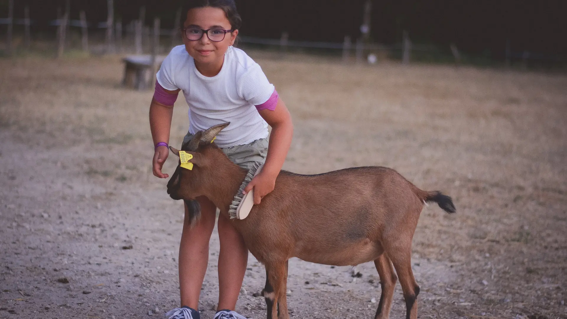 animaux ferme pedagogique nature