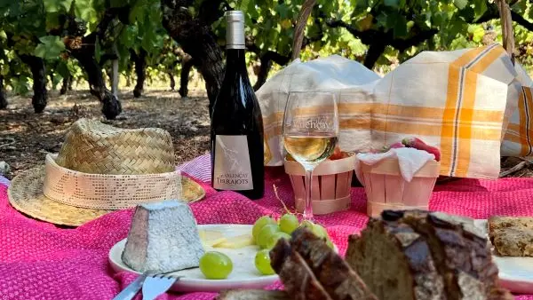 Dégustation dans les vignes