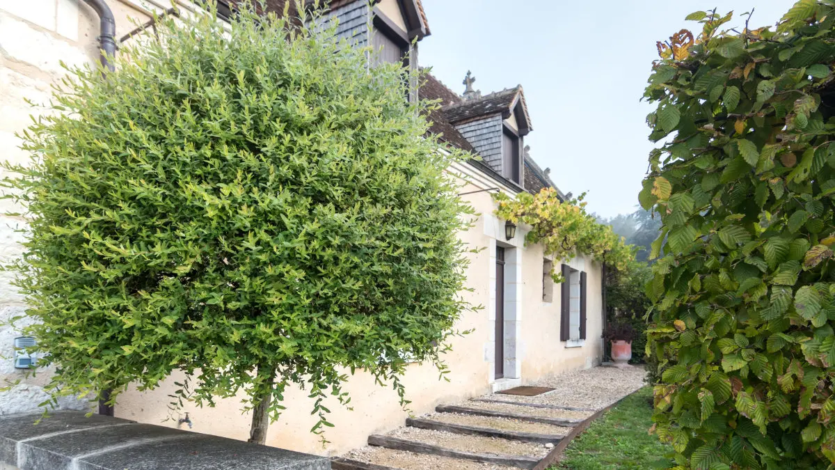 Gîte Nishiki - extérieur