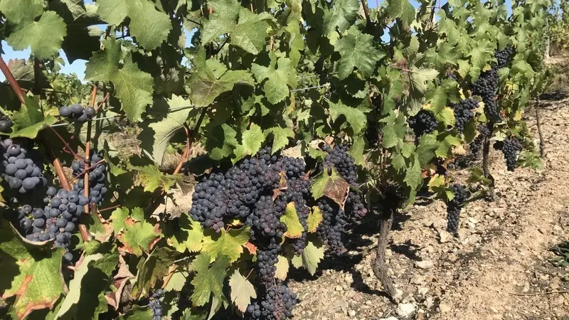 Domaine du Four à Chaux