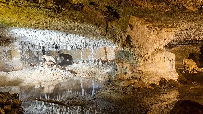 Grottes Pétrifiantes de Savonnières - Villandry