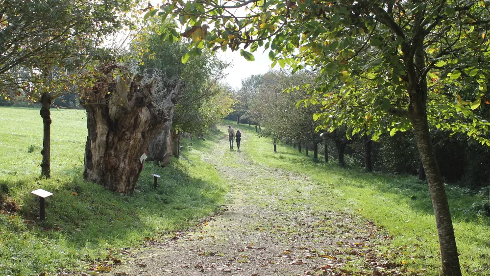 MaisonBotanique-Chemin-des-Trognes-Boursay