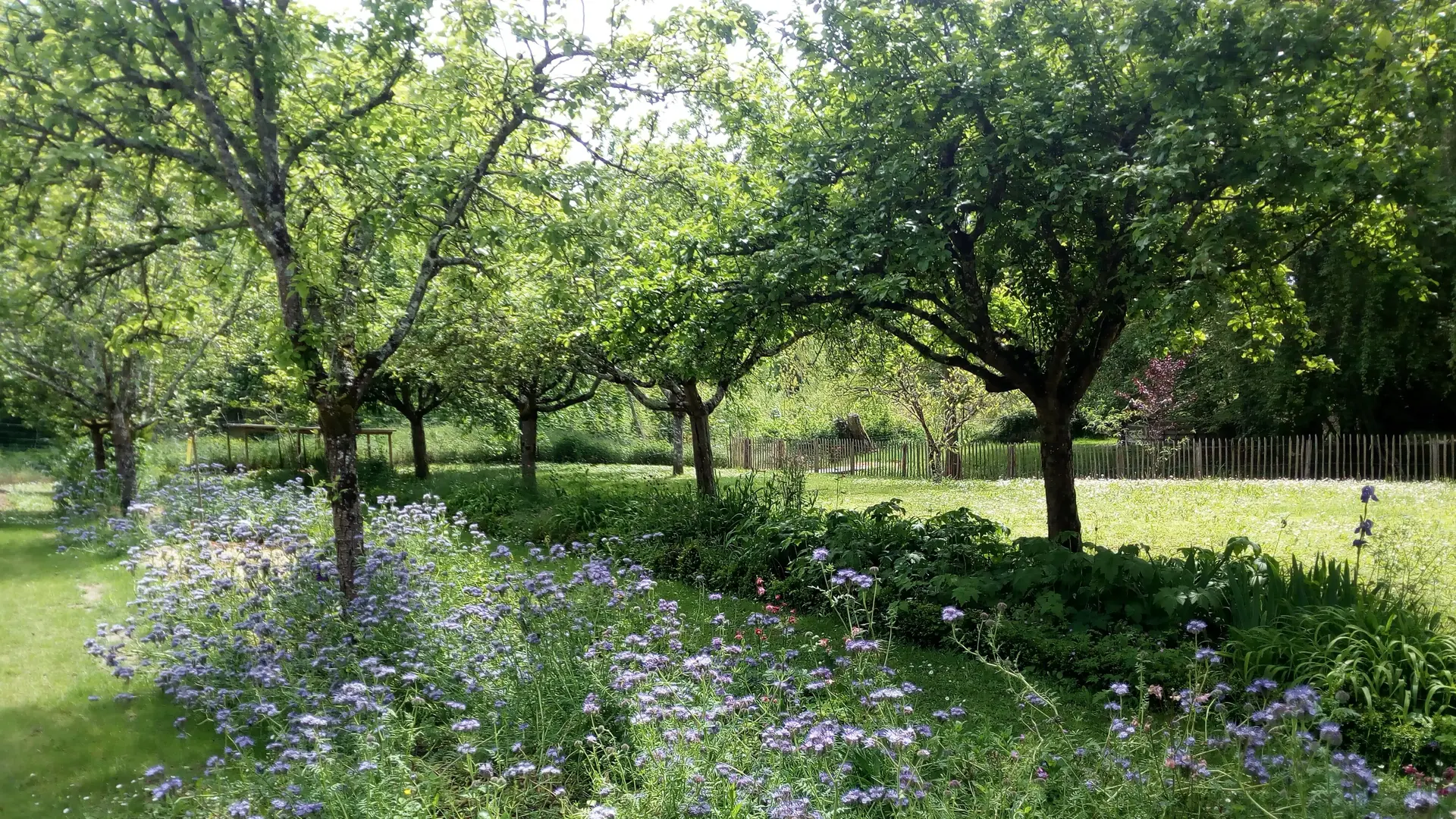 jardin du gite au jardin de grand-pere