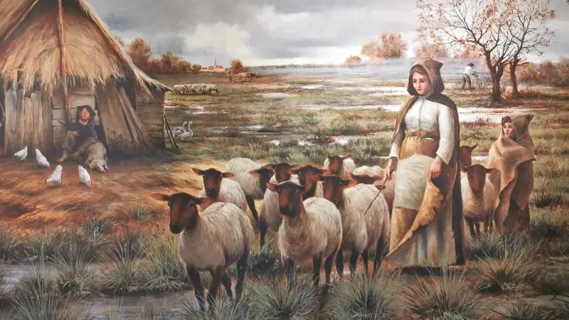 sologne-tourisme-musée-romorantin-musée de Sologne4