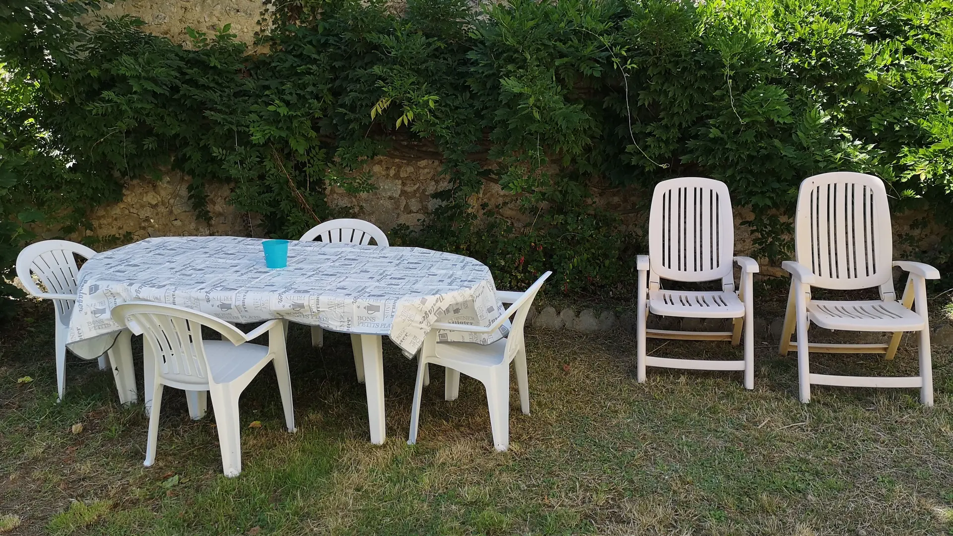 REPAS EN PLEIN AIR ET DETENTE A L'OMBRE DU TILLEUIL