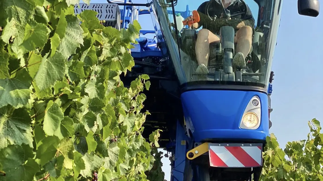Domaine de la Renne