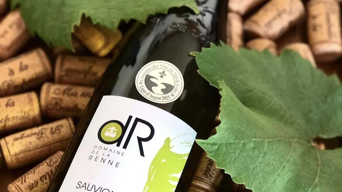 Sauvignon