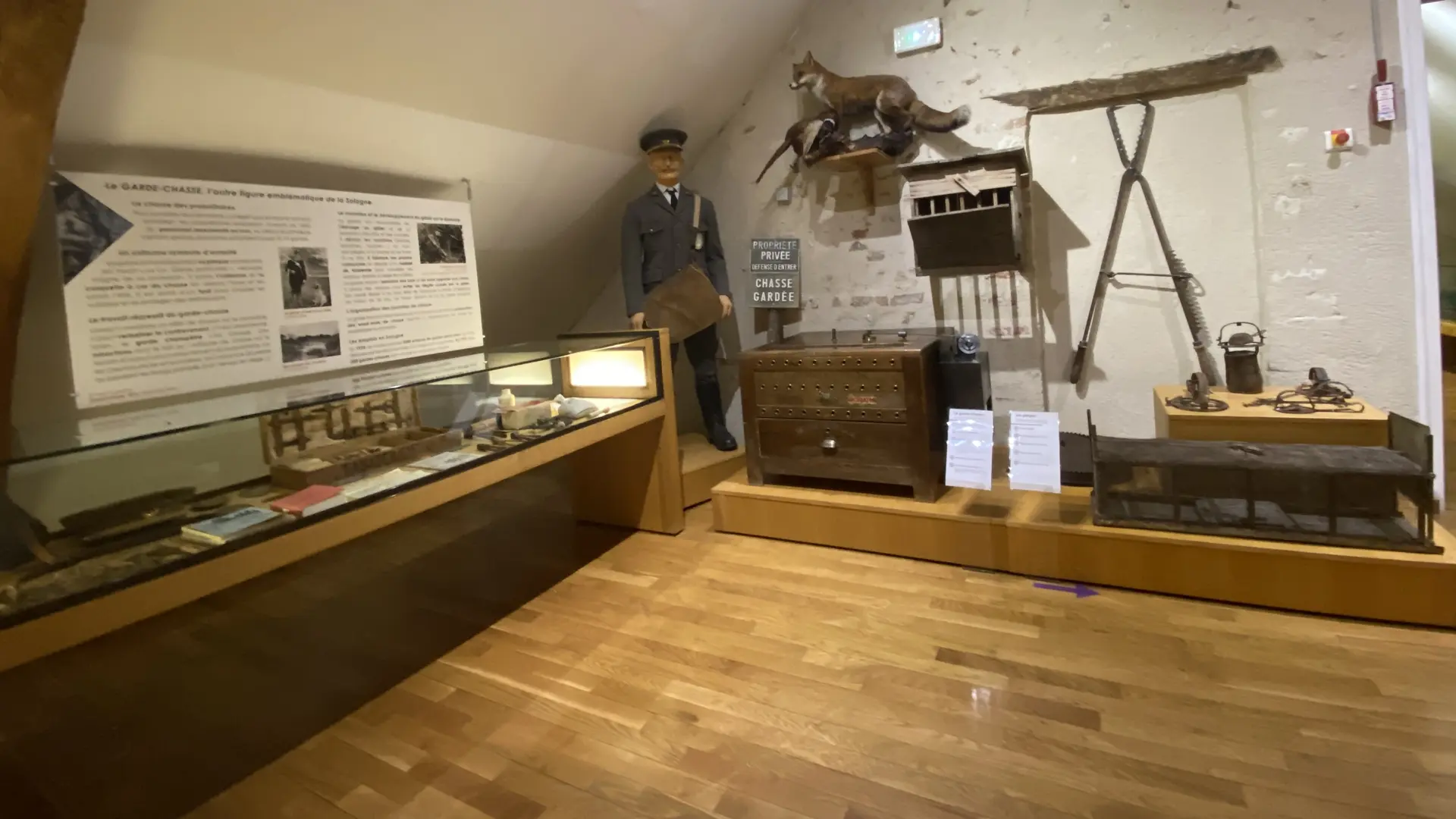 Musée de Sologne salle de la chasse