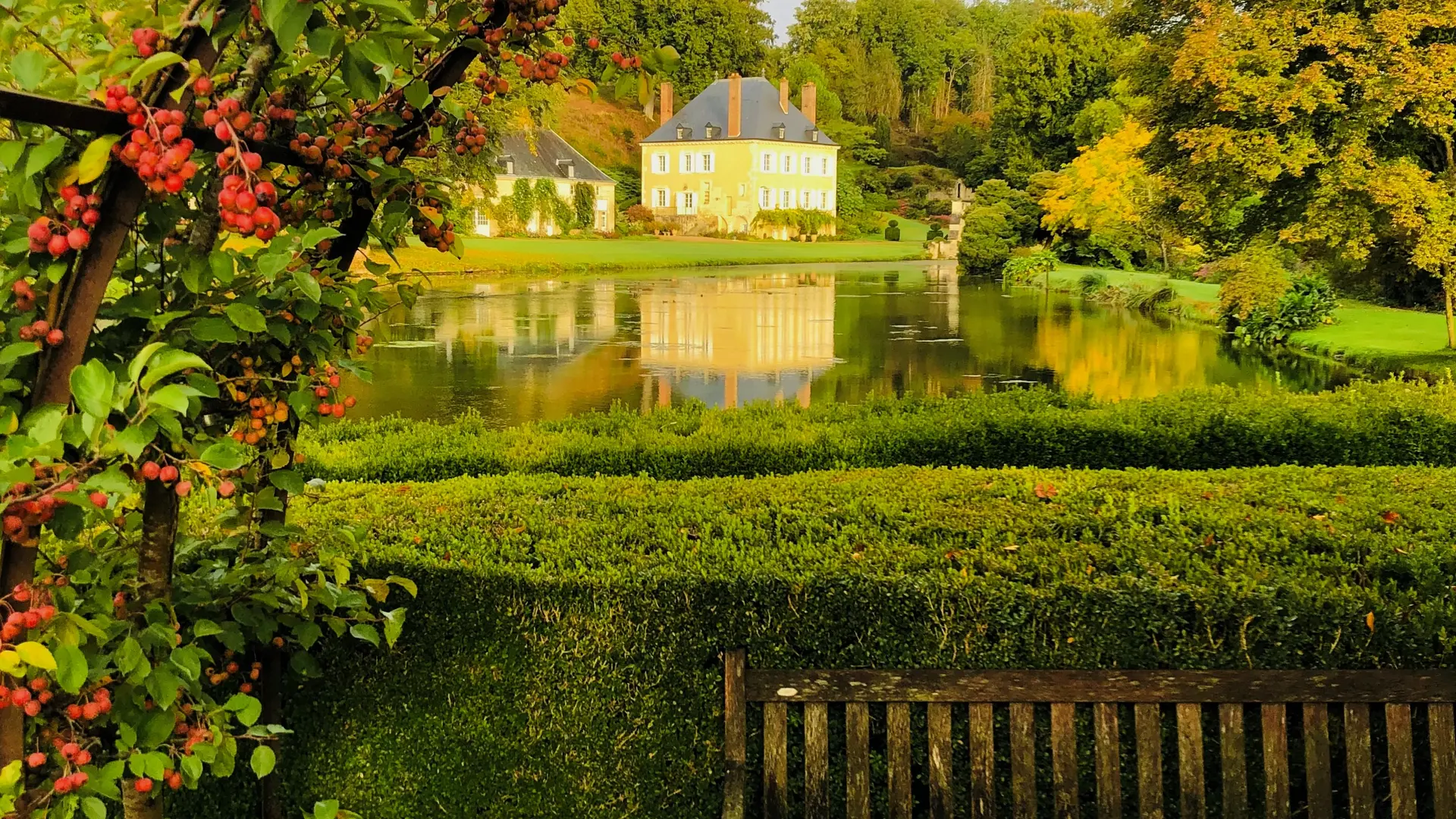 Treille de pommiers palissés