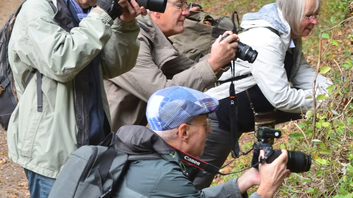 Initiation macrophoto