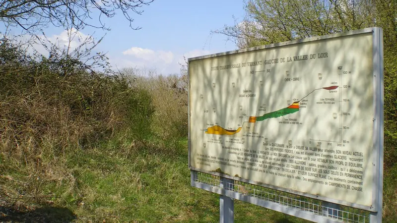 Les-Grouais-de-Chicheray©CDPNE-(3)