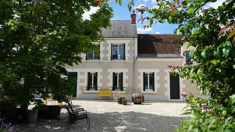 Les hirondelles du moulin