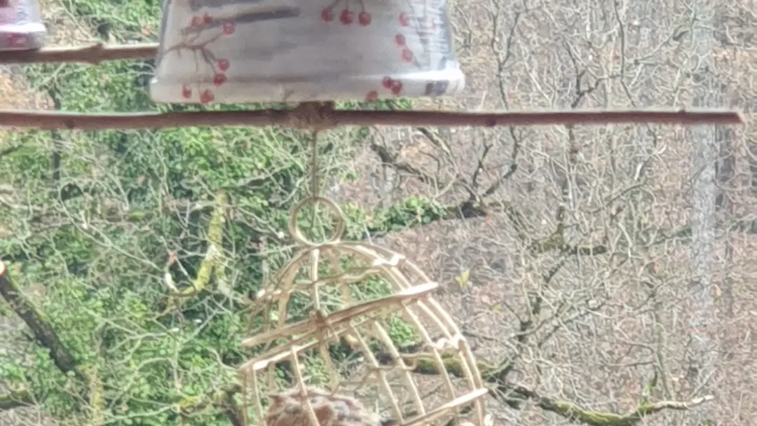 Les mangeoires pour oiseaux de Chimlou