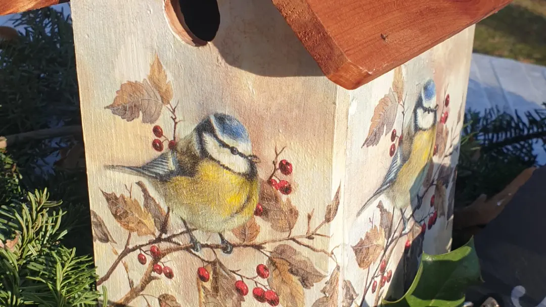 Les mangeoires pour oiseaux de Chimlou