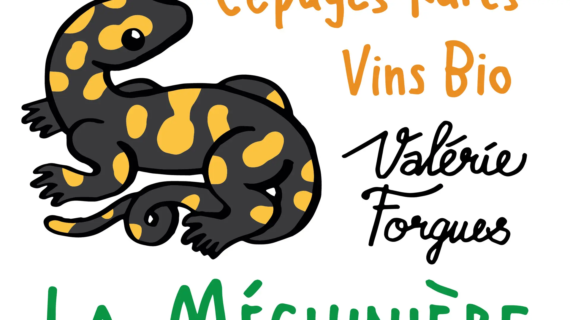 web-logo-VF