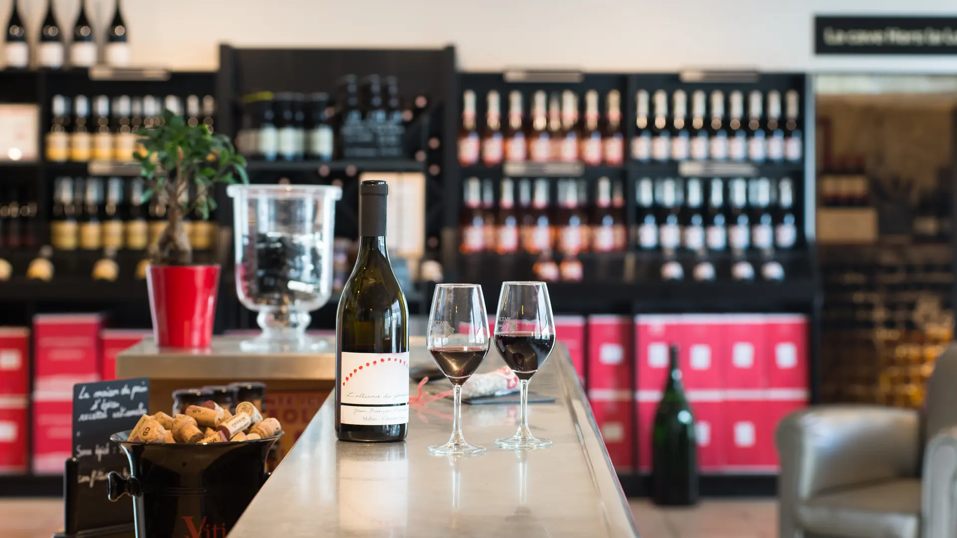 Cave-Domaine-Mérieau