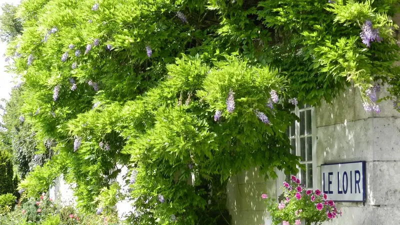 Balade dans Montoire-sur-le Loir