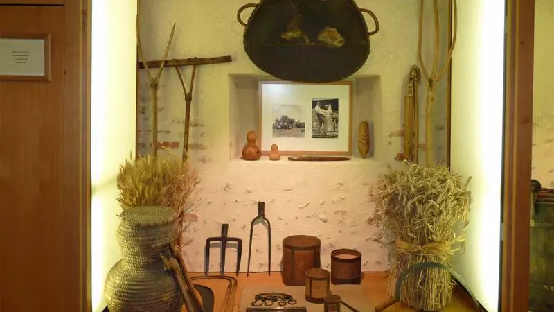 vitrine musée de Sologne