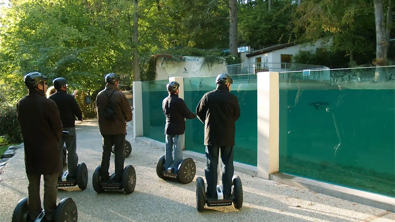 ZooParc de Beauval - Activité Incentive