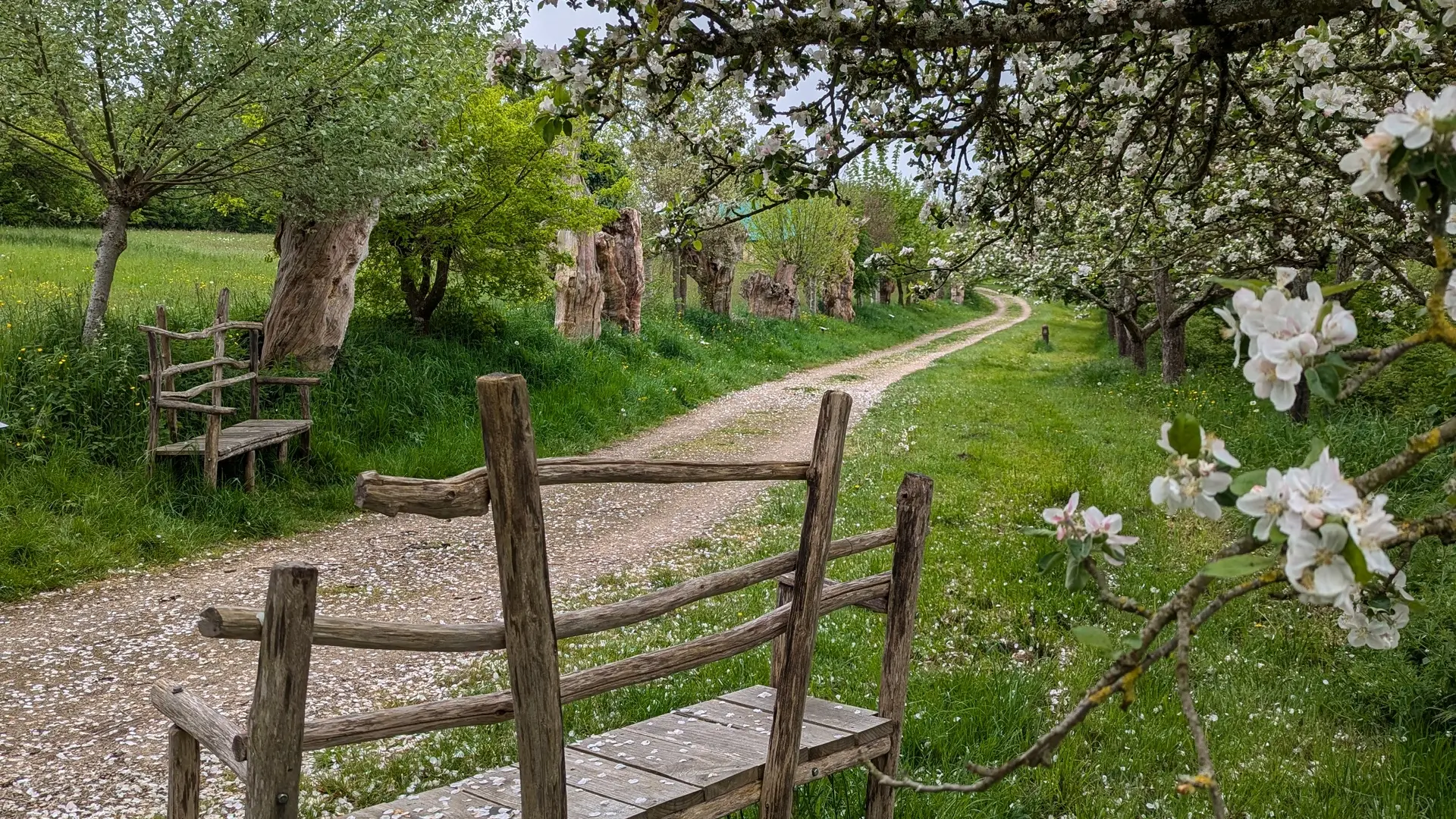 Chemin-des-Trognes-Maison-Botanique-Boursay©