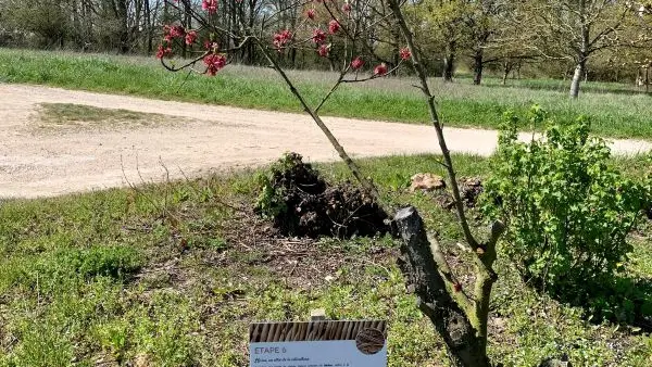 Panneau Cicuit de Visite