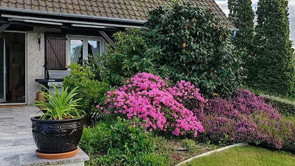 Parterre-devant-maison_tis
