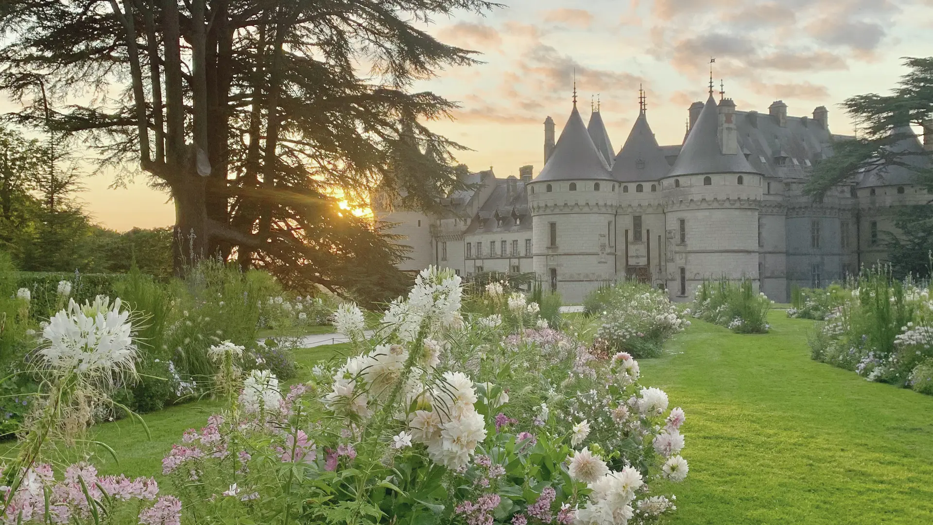 Château vu du Parc historique®E. Sander