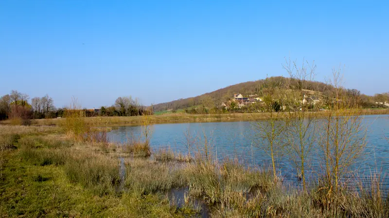 Plan-d-eau-communal-souge©Federation-Peche-41-web