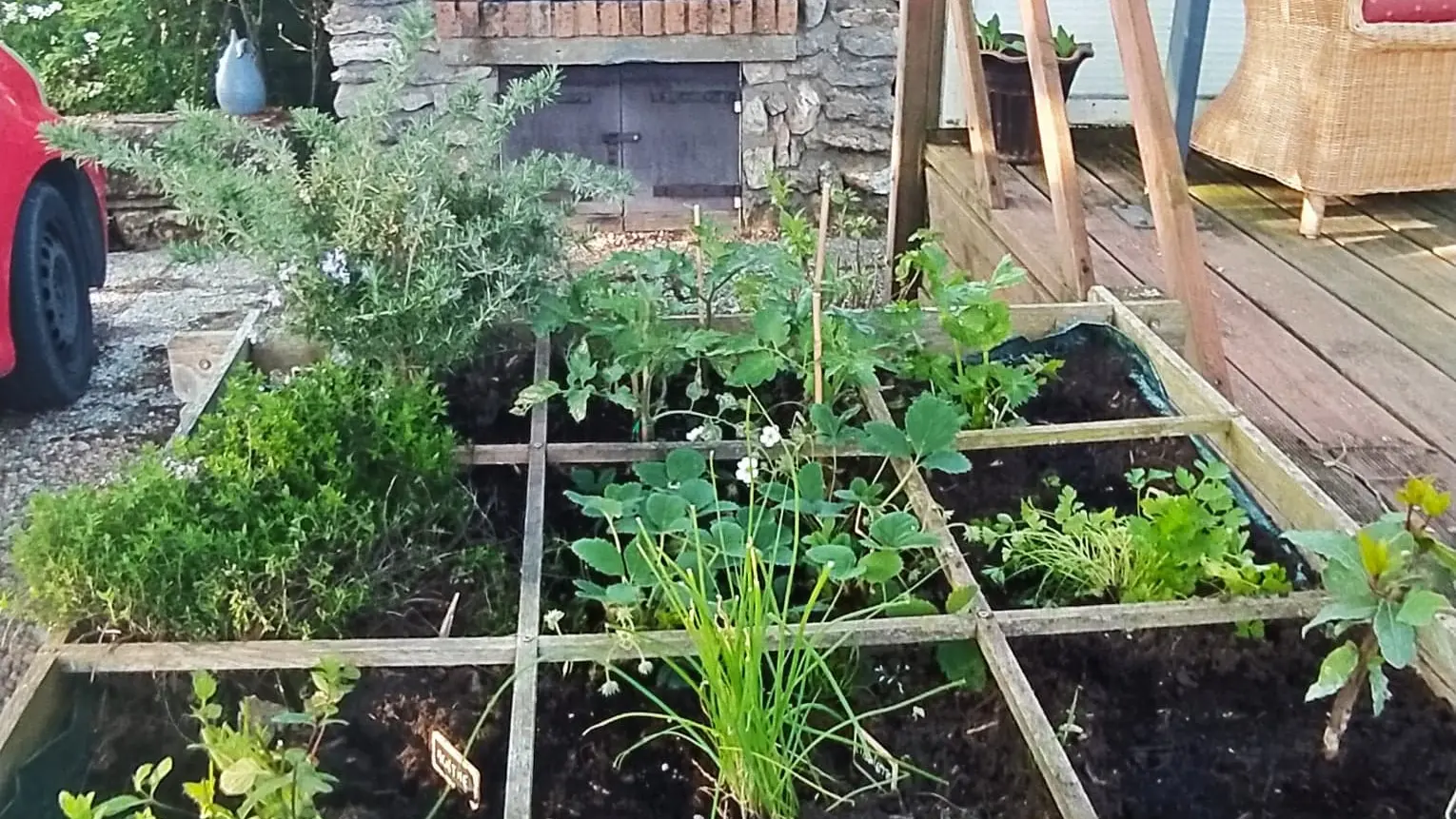 Plantation d'herbes aromatiques au gite de Poulas