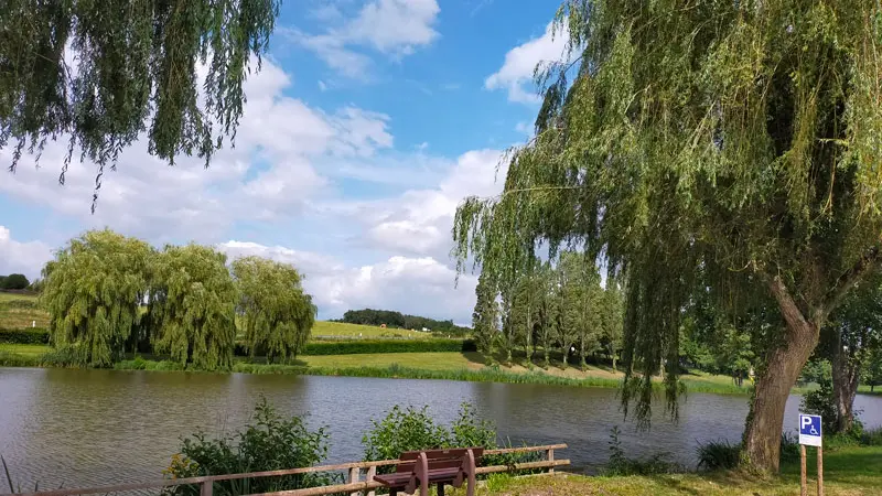 Plean-Eau-St-Martin-Bois©C-Biore(2)