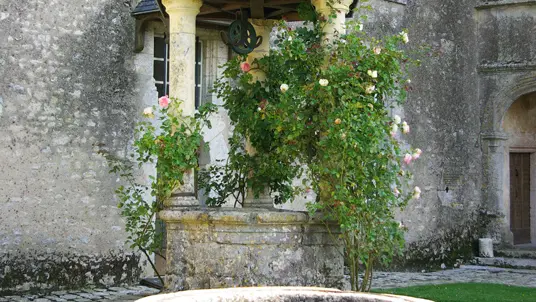 Puit-Chateau-de-Talcy-Thierry-Savoir-ADT41