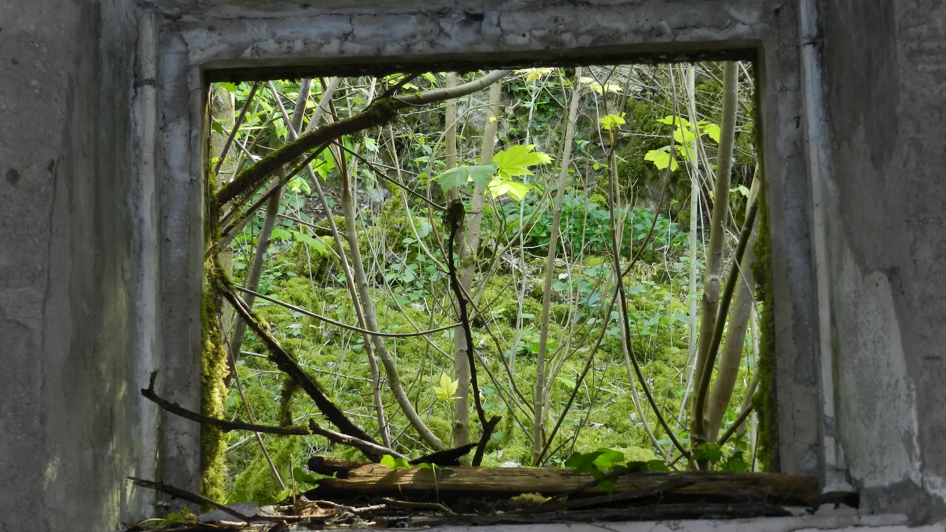 Ancien Quartier Général Allemand W3 à Saint-Rimay