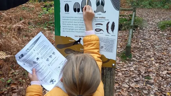 Randoland Bois de l'Oratoire