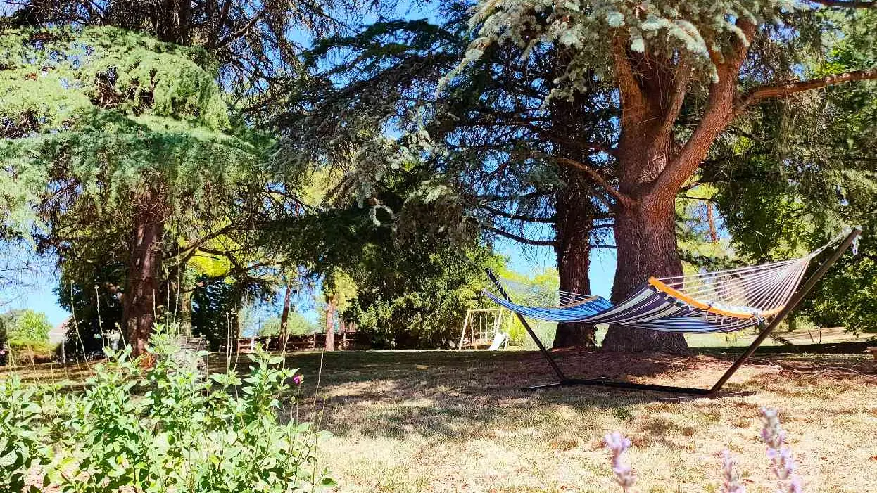 Repos dans le hamac du parc