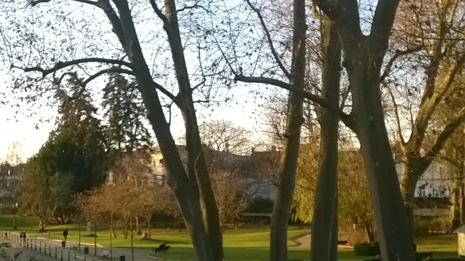 Romosquare