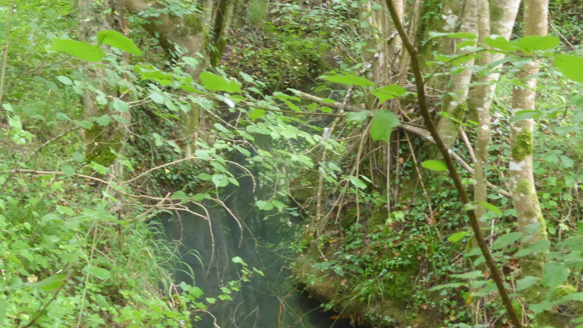 Ruisseau de la Grosse Pierre