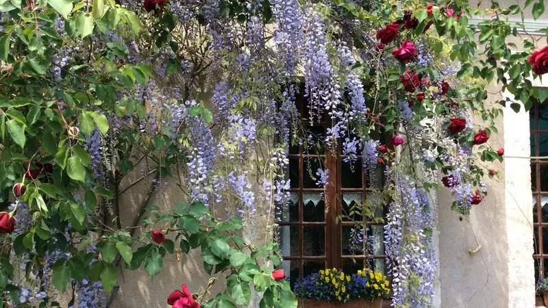 Chambres côté jardin à Villiers-sur-Loir