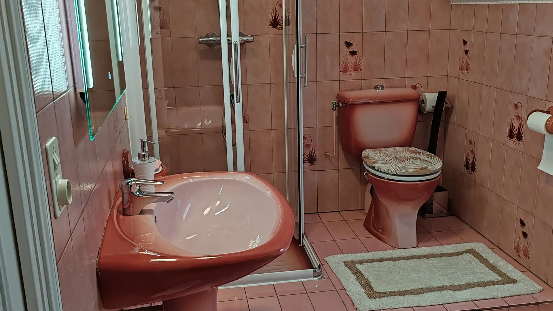 Salle de bain et Wc