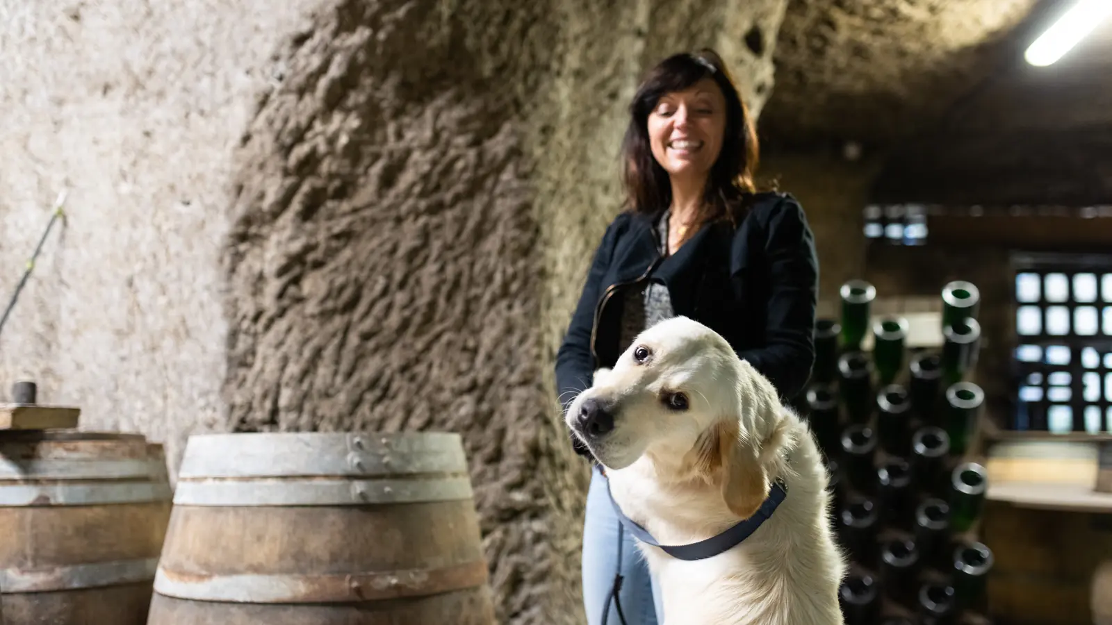 Domaine dud Grand Moulin Seneau et Fils
