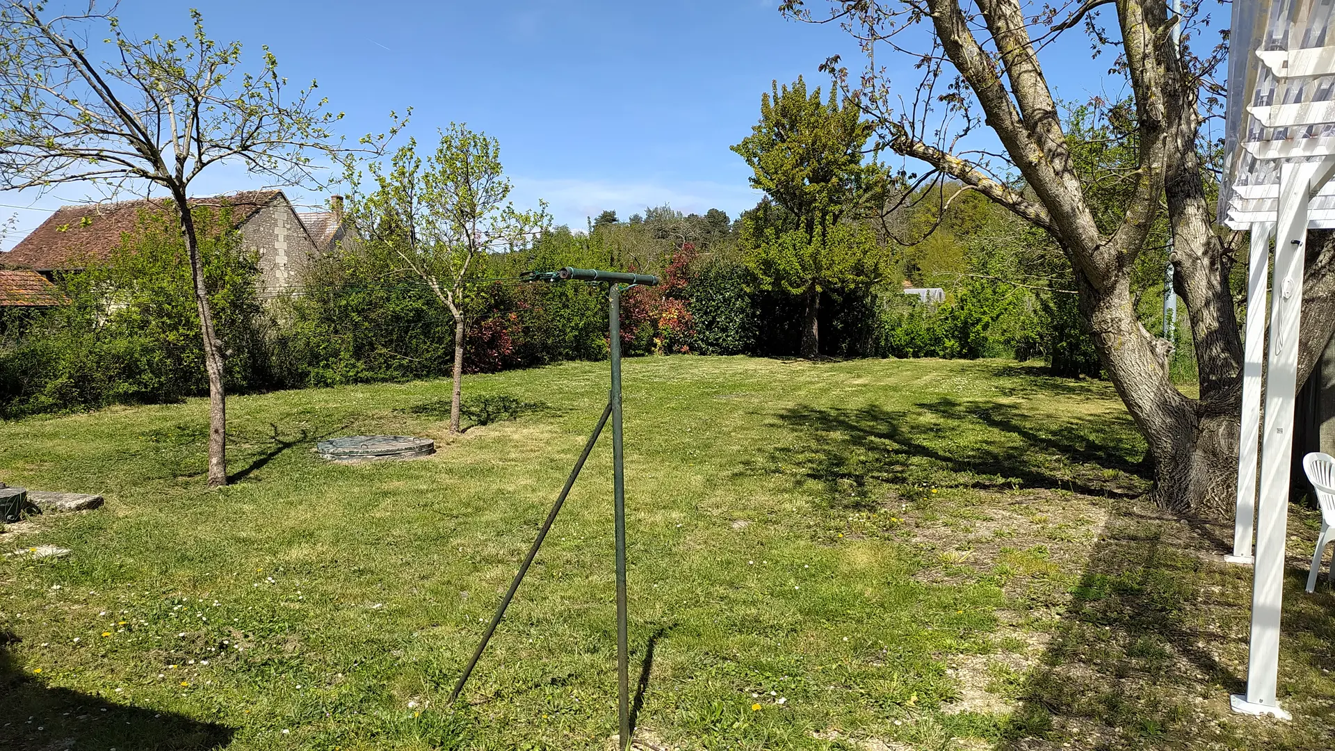 Terrain arboré