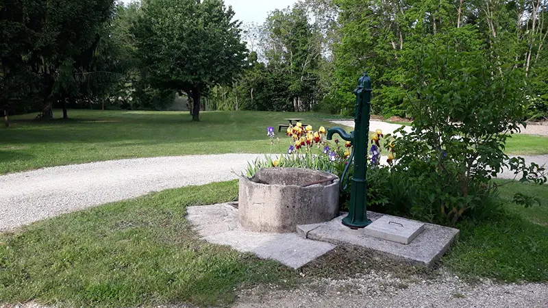 Tis_jardin
