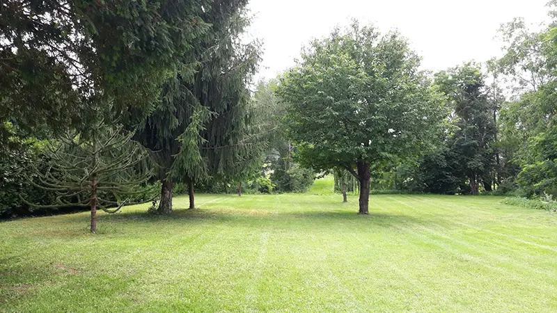 Tis_parc